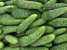 «КП»: Огурцы стали стоить дороже мяса в одном российском регионе