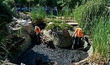 В Волгограде в парке Саши Филиппова очищают пруд