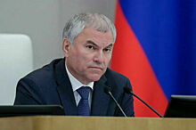 Володин поддержал Михалкова, отказавшегося работать с релокантами