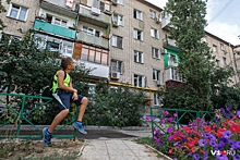 «Хотел девчонок успокоить»: в Волгограде школьник залез на верхушку тополя, чтобы спасти котёнка