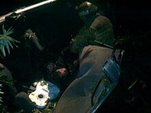 В Залегощенском районе в ДТП с КамАЗом погибла женщина