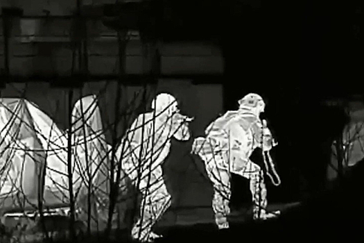 ФСБ ликвидировала диверсантов в Алтайском крае