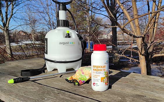 Бордоская жидкость: как развести готовый концентрат и когда опрыскивать сад. Детальная инструкция