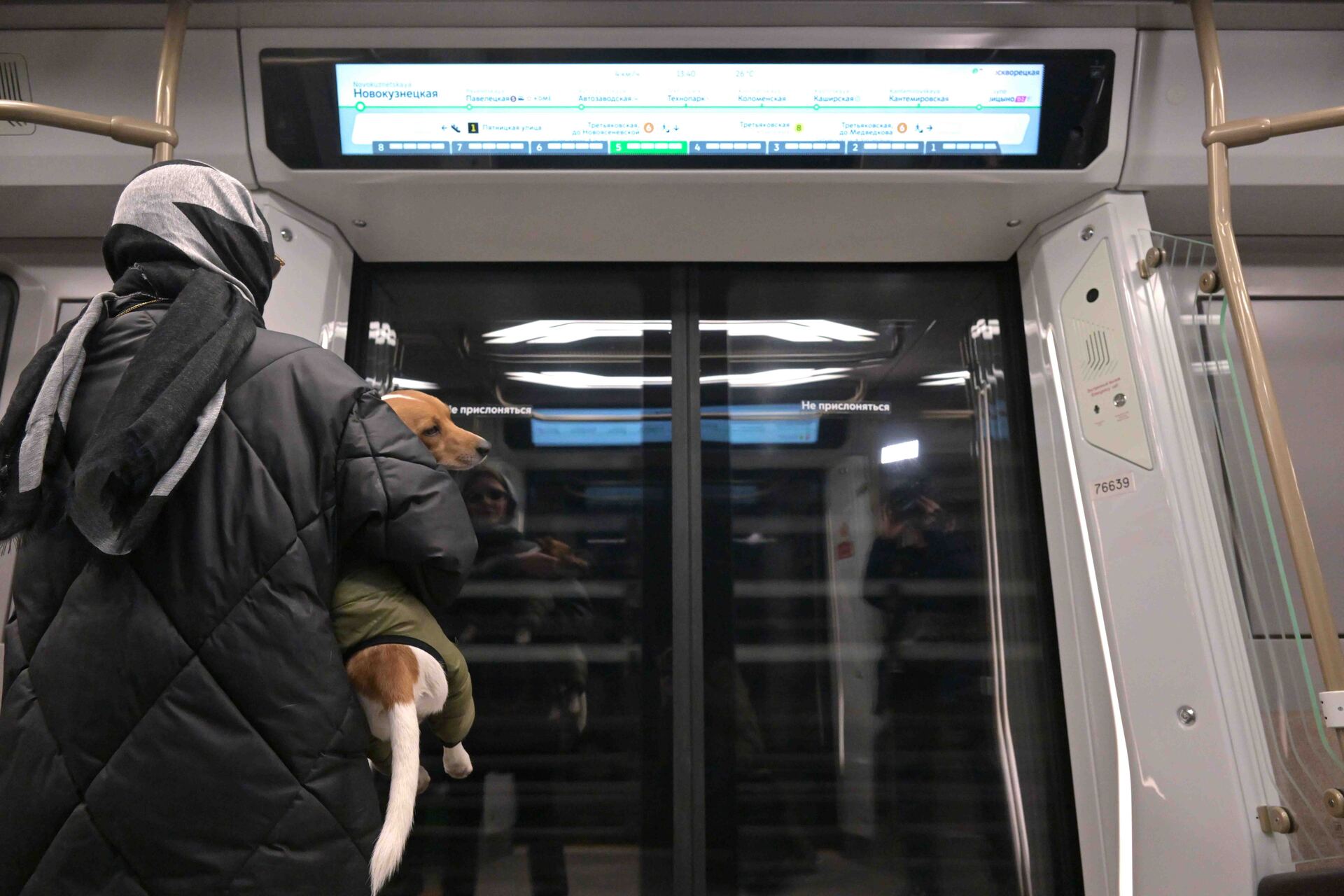 Московских собак призвали носить бахилы при одном условии