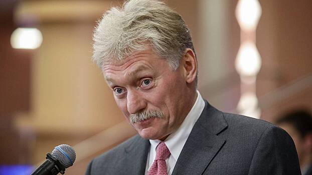 Песков назвал погоду в Москве «обычными зимними морозами»