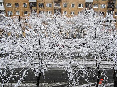 В Омске выпал первый снег