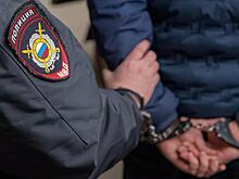 Россию принудительно покинули свыше 157 тысяч иностранцев, которые нарушили законодательство в 2024 году