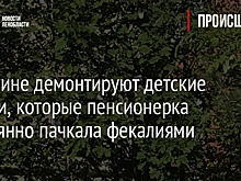 В Гатчине демонтируют детские качели, которые пенсионерка постоянно пачкала фекалиями