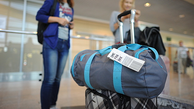 Mash: 200 россиян остались без багажа по прилете в Москву из Египта