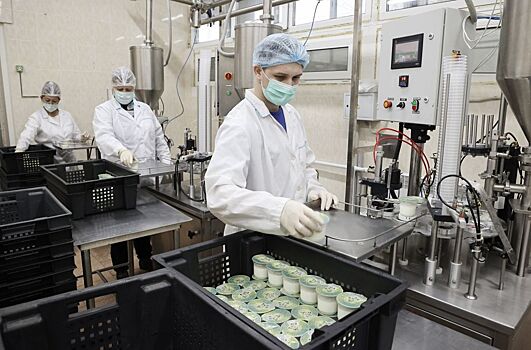 Полутвердый сыр и йогурт будут выпускать молочные кухни в Нижнем Новгороде