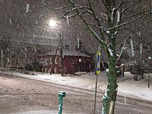 В Курской области на этой неделе снегопады будут бить рекорды 70-летней давности