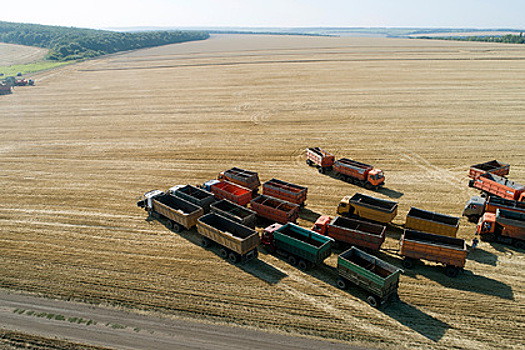 В Польше рассказали о превращении России в продовольственную сверхдержаву