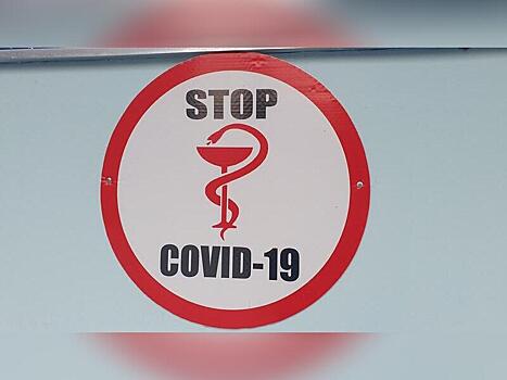 Бригада московских врачей выехала на помощь забайкальским медикам в борьбе с коронавирусом