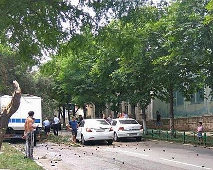 Автомобиль для перевозки заключенных врезался в дерево в Новороссийске