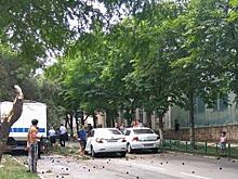 Автомобиль для перевозки заключенных врезался в дерево в Новороссийске