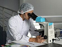 Учёный из Удмуртии получил патент на изобретение регенеративного средства