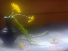 Магию природы и урбанистические мотивы представили на авторской фотовыставке в Вологде