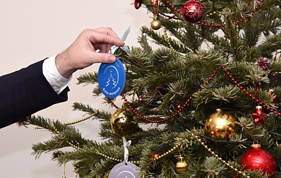 Зимнее чудо: акция &laquo;Елка желаний&raquo; на Дону продлится до 28 февраля