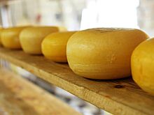 Костромичи ностальгируют по костромскому сыру из 1965 года