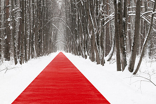 В парке Малевича откроется "Белый лес" с красной дорожкой и портретами деревьев