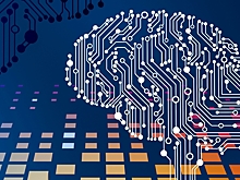 ИИ от новосибирских ученых научился распознавать рак и туберкулез