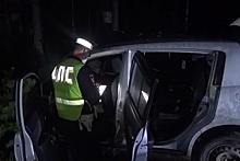Два человека погибли в ДТП в Свердловской области