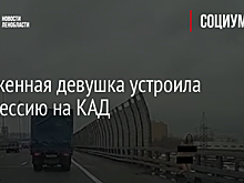 Обнаженная девушка устроила фотосессию на КАД