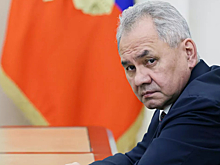 Шойгу рассказал о планах РФ по «Талибану»*