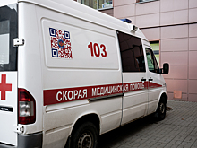 Москвич одним ударом отправил четырехмесячного ребенка в реанимацию