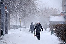 На следующей неделе в Москве ожидается потепление до плюс 2 градусов