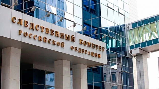 Бастрыкин взял на контроль дело о хищении денег у дочери Чкалова