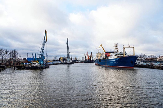 Что изменится в тарифах для морских грузов, доставляемых в Калининград