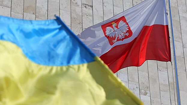 "Мы вас ненавидим": Поляки жестоко избили двух украинцев