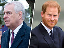 Принц Гарри первым из королевской семьи публично осудил своего дядю Эндрю