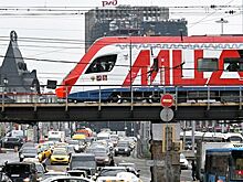 В РЖД ответили на протест красных флагов против МЦД