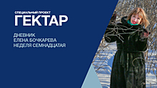 «Гектар»: Пора уже посмотреть на свой участок — продолжаем редакционный эксперимент