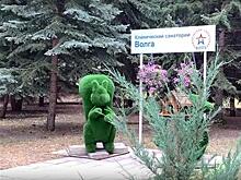 Минобороны отстояло границы санатория "Волга" в Самаре