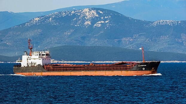 Российский миллиардер закажет 28 судов для вывоза угля по Северному морскому пути