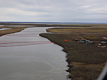 «Олигархята задумаются». Эколог о рекордном штрафе «Норникеля»