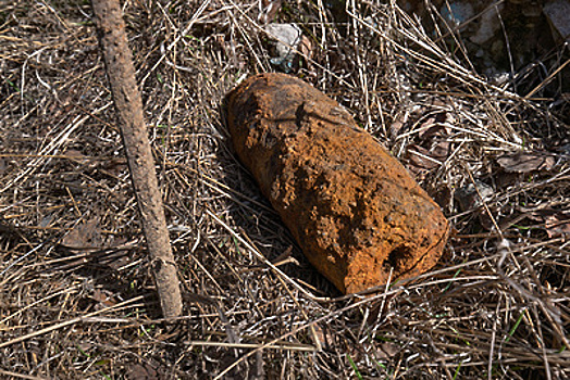 Артиллерийский снаряд времен ВОВ нашли в городском округе Истра