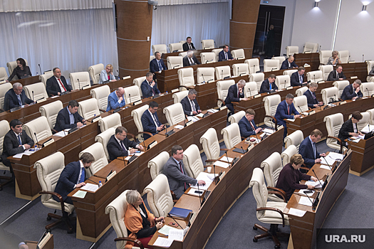 Пермские депутаты поддержали карательный закон мэра