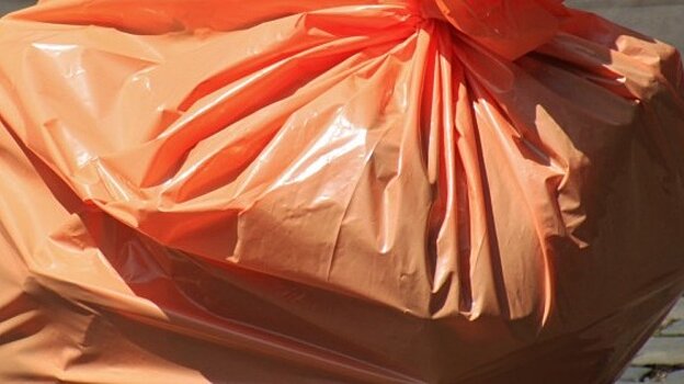 В Пензе пакеты с мусором стали причиной преступления