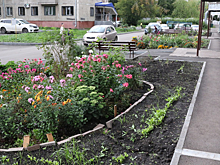 Власти рассказали о ремонте дворов в Кемерове