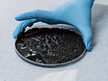 Биопылеподавитель для улиц и шахт разработали новосибирские ученые