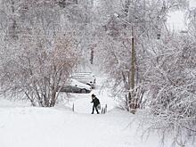 На окраине Татарска в мороз высадил школьника водитель маршрутки