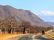 Число жертв землетрясения в Танзании выросло до 13 человек