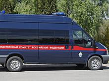 Стали известны личности подозреваемых в убийстве двух российских аниматоров