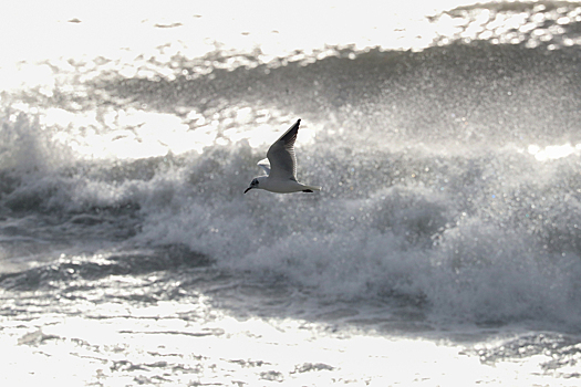 Два судна пострадали от шторма в Мурманской области