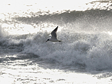 Два судна пострадали от шторма в Мурманской области