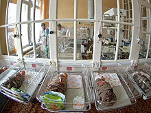 Составлен список самых популярных имён для новорождённых жителей Подмосковья